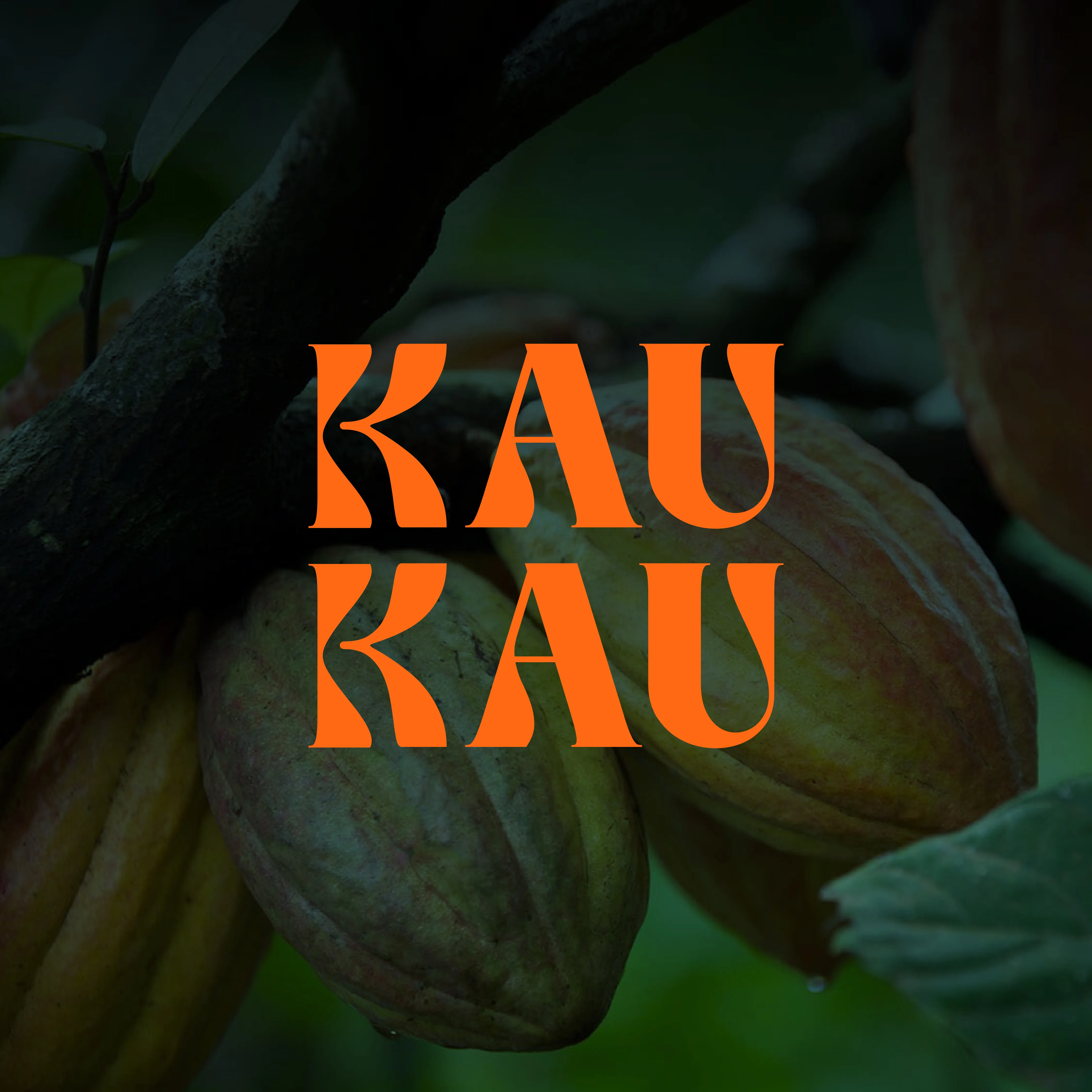 Kaukau logo 1