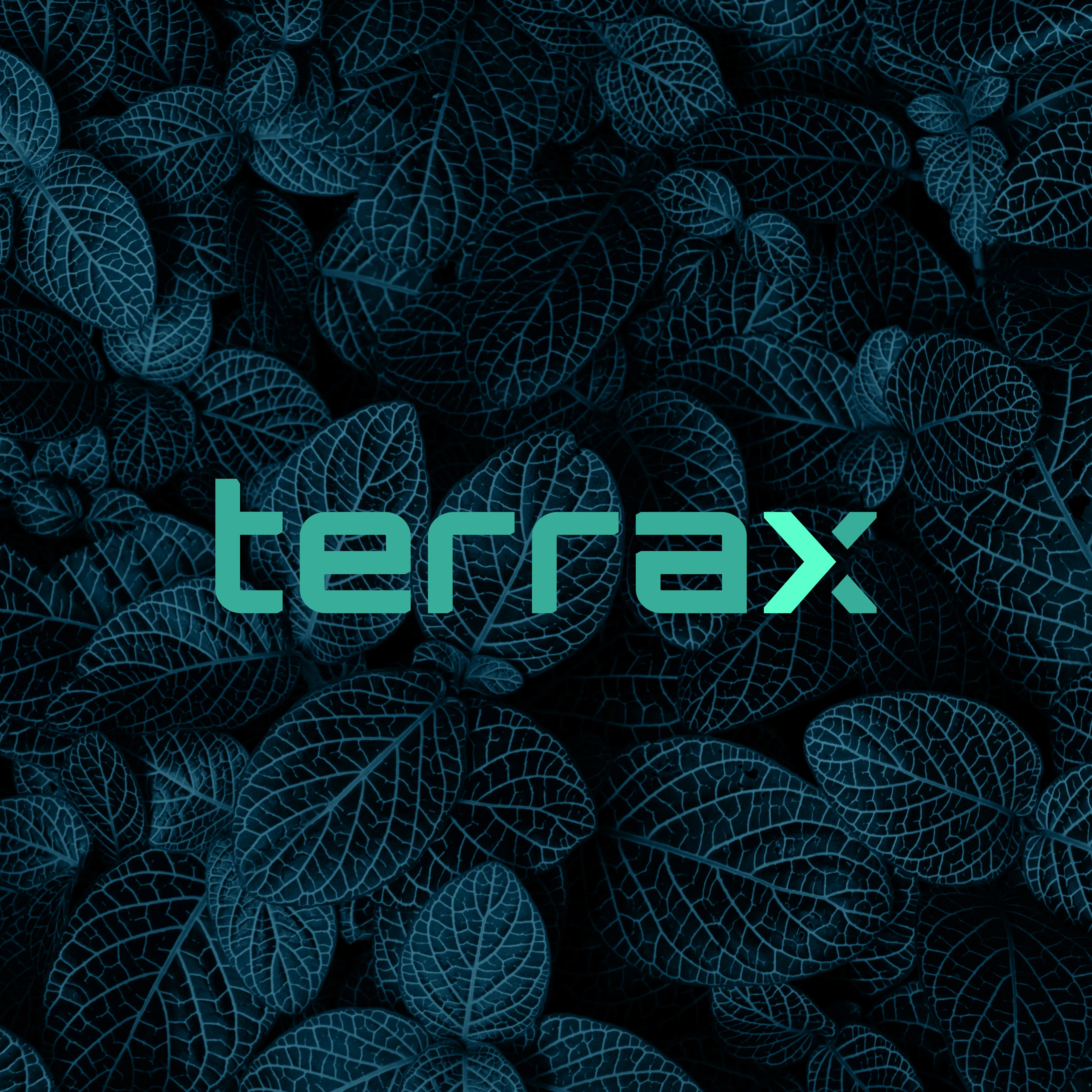 Terrax brand visual exploration, panel one